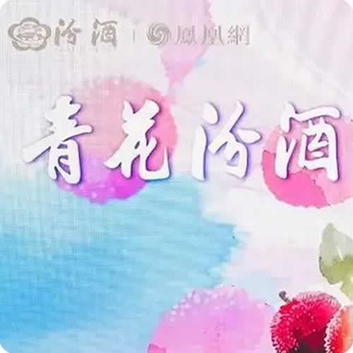 最可能赢下“Z时代”芳心的是汾酒—— 从“青花汾酒 梅好相汾”看白酒如何破茧新生