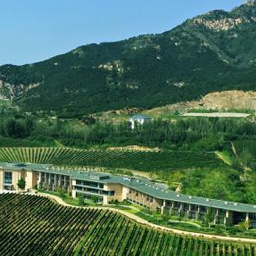 秦皇岛颁布《碣石山葡萄酒产区保护条例》